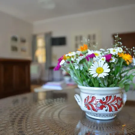 Apartment Casa Augustus Sighisoara